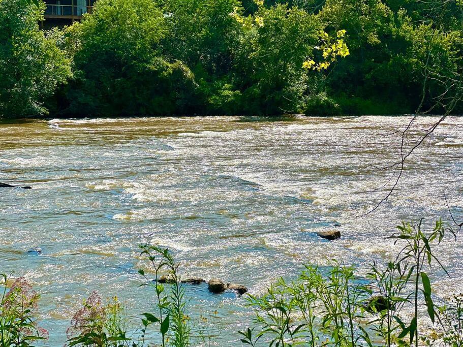 Riverside Relaxer W/Hot Tub+Fire Pit +Wifi & View Franklin Exterior foto