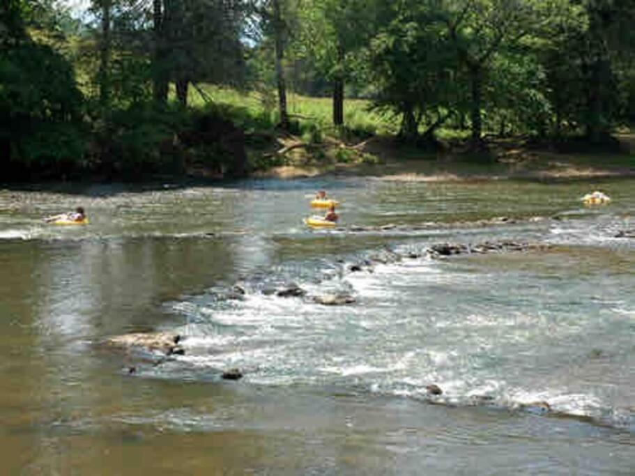 Riverside Relaxer W/Hot Tub+Fire Pit +Wifi & View Franklin Exterior foto